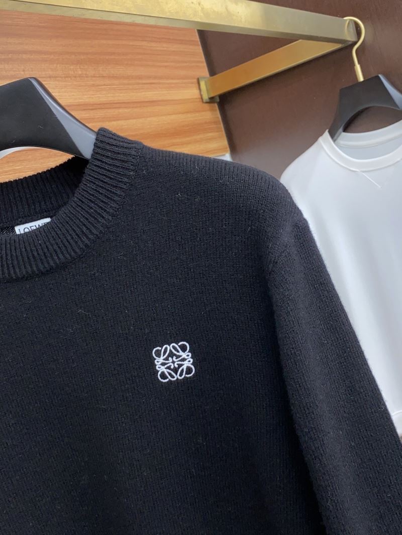 Loewe Sweaters